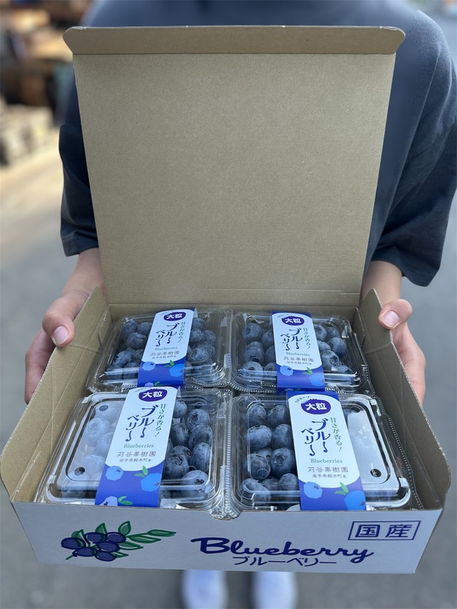 【3L以上】【約1kg】小分けパック（125g×8パック入り）大粒ブルーベリー