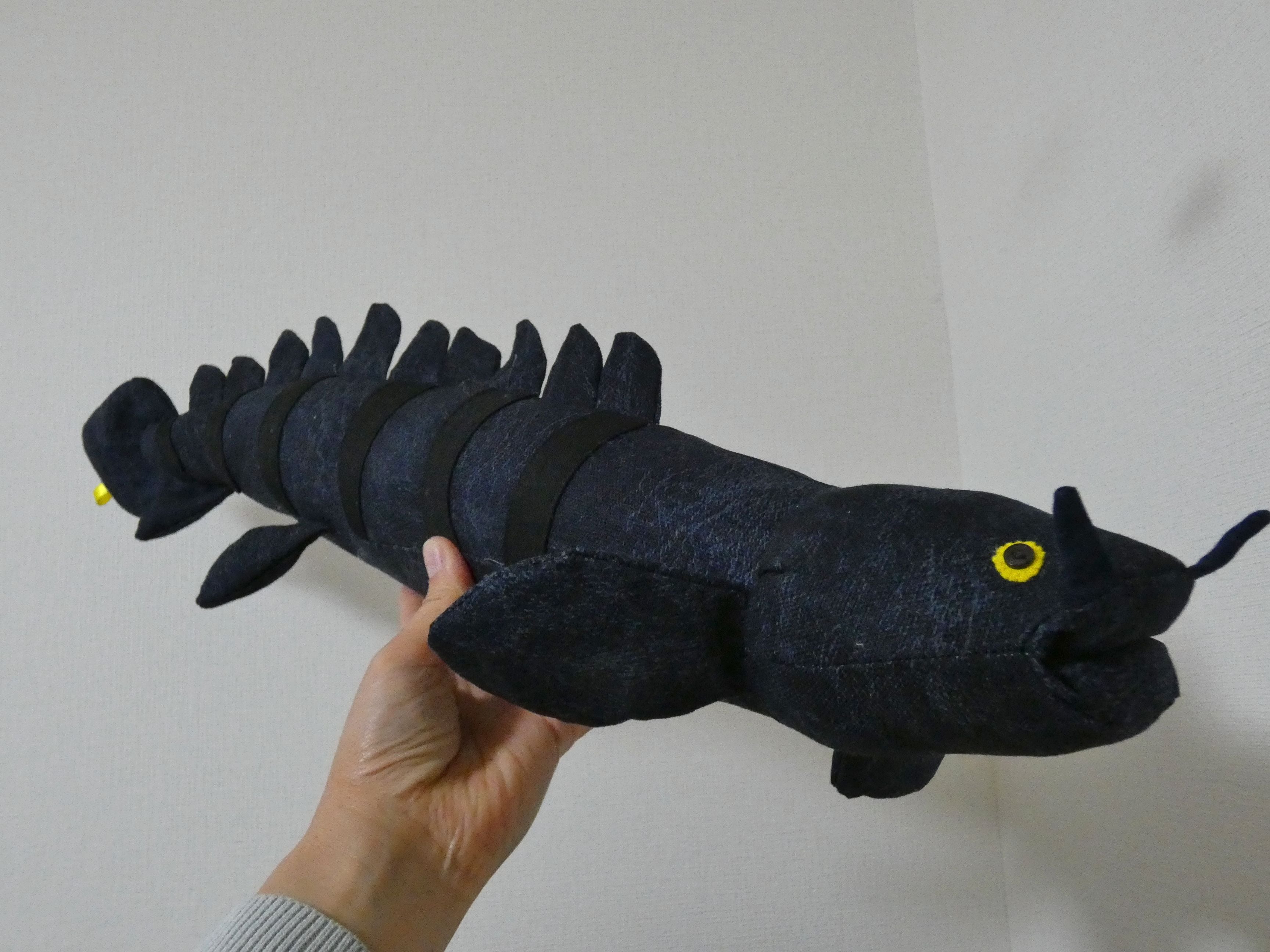 ポリプテルスデルヘッジ Polypterus,Barred bichir | ぬいぐるみ工房nuwasu