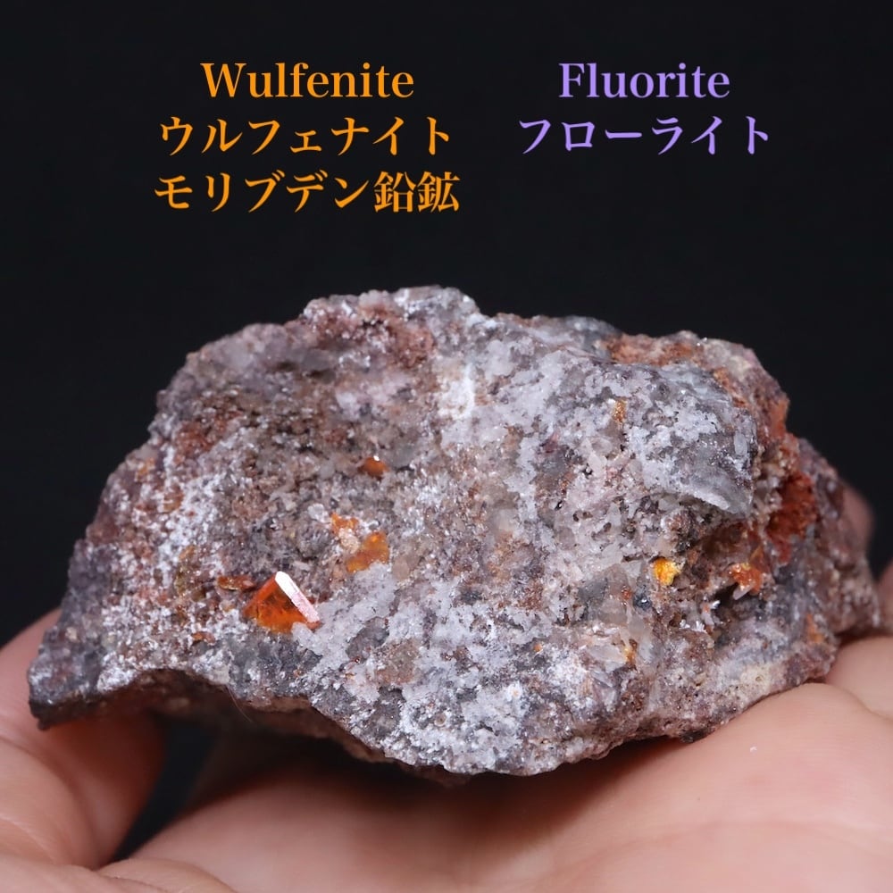 ウルフェナイト(モリブデン鉛鉱) | 鉱物 天然石 American Minerals +
