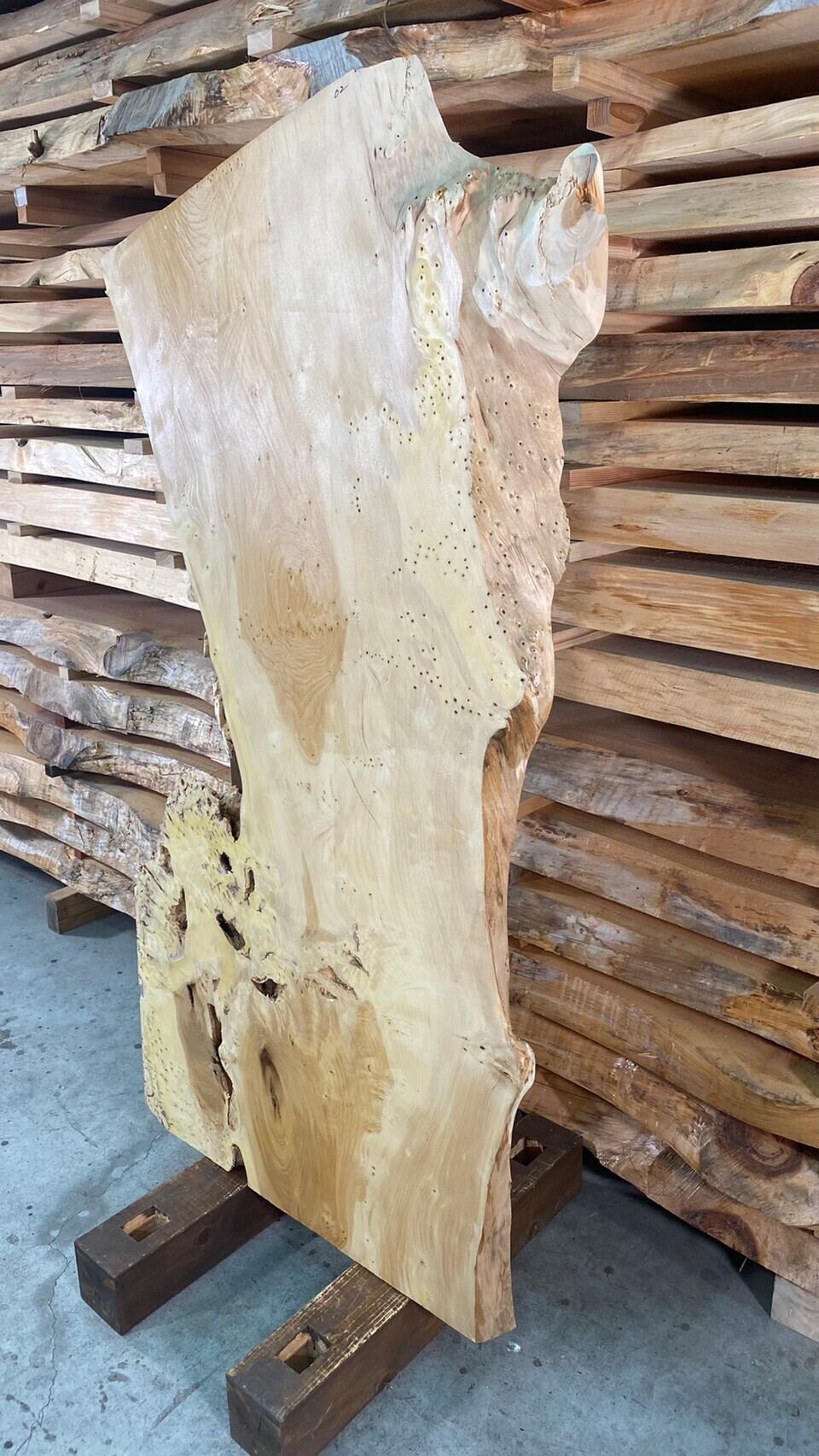 銀杏 02 一枚板 両面フラット加工済！ 棚板 カウンター レジン 瘤