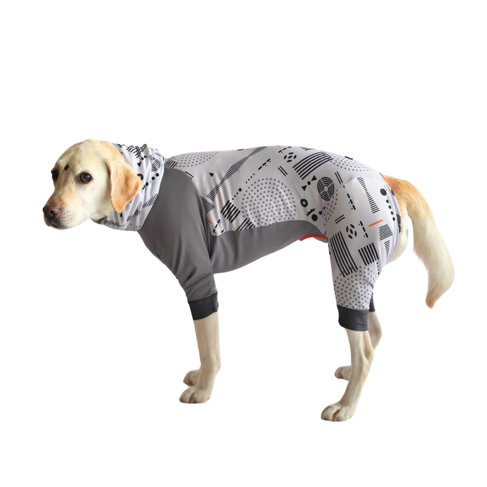 ALPHAICON 犬服 クールスヌード グレー Sサイズ S】DOG GUARD COOL