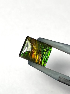 10.アンモライト［No.HA-4345］