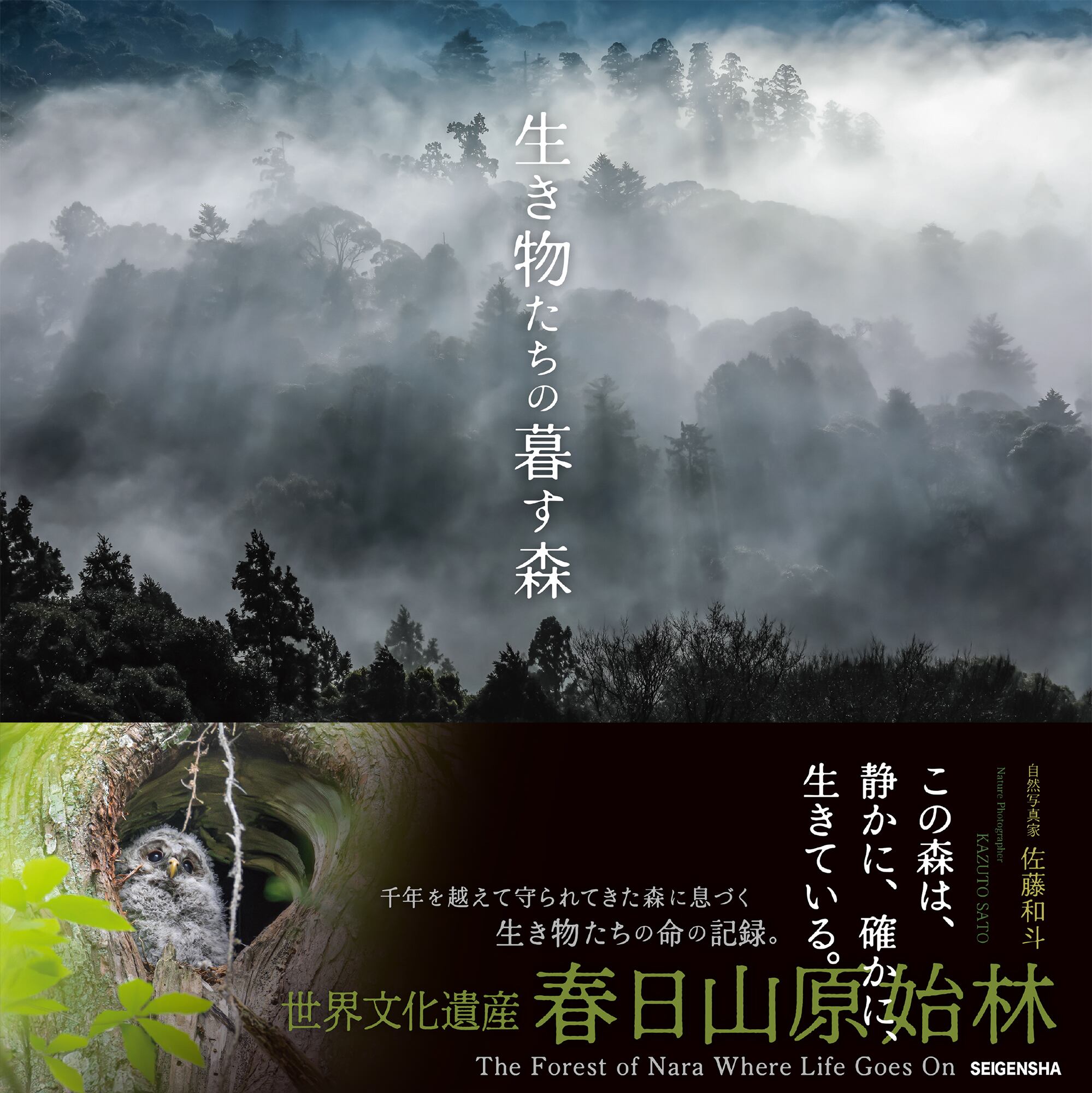 福原信三 福原路草 光と其諧調 写真集 非売品 【公式通販】
