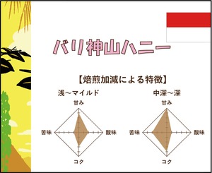 【300g】バリ神山ハニー