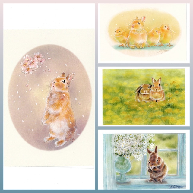 【新柄入荷♪】しらとあきこ ポストカード 3