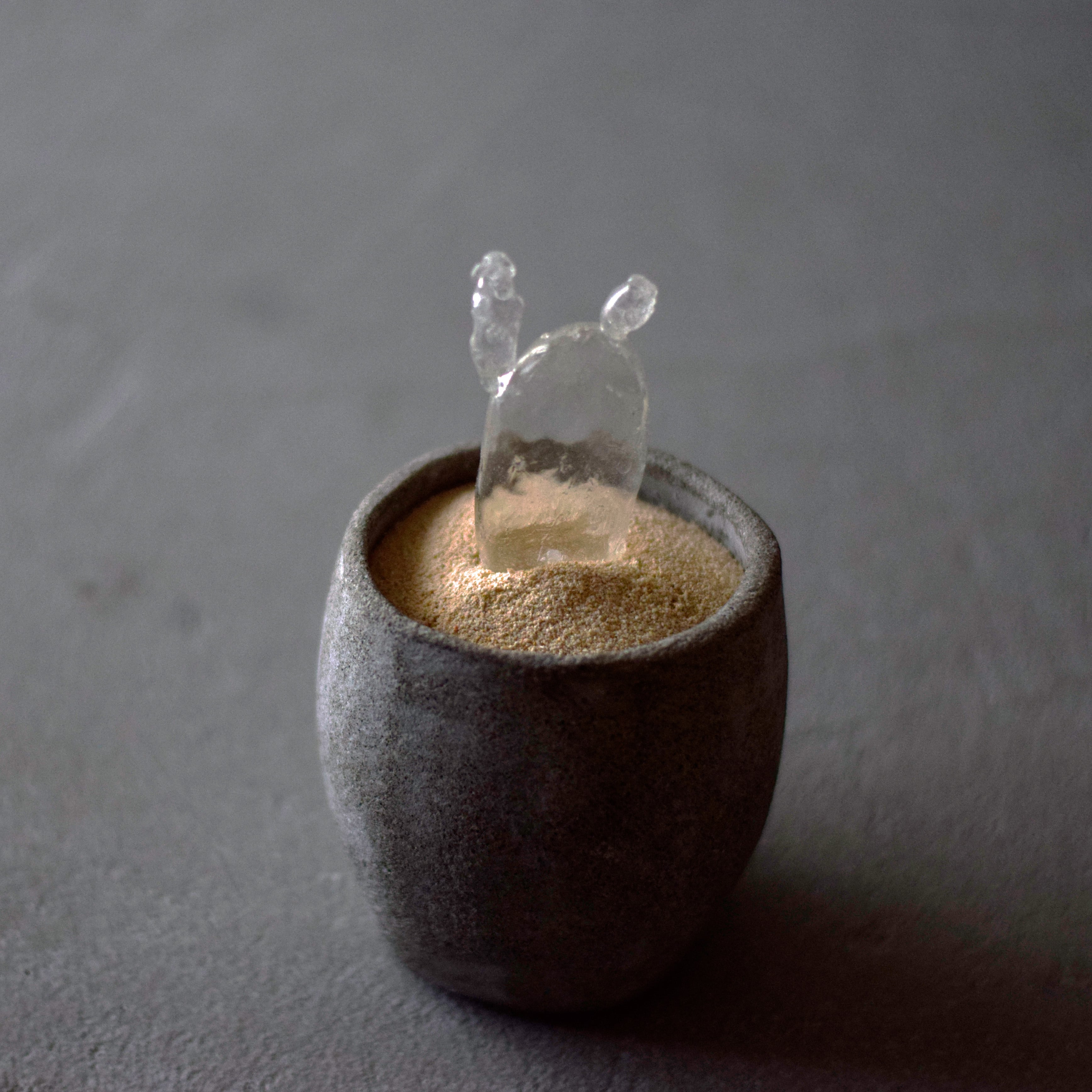 ★今だけ値下げ★透明サボテン 透明サボテン 005 | Sabotensi