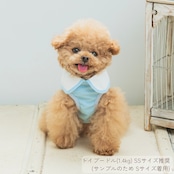 \ LLサイズ登場!/ 冷感ベビーハーネス