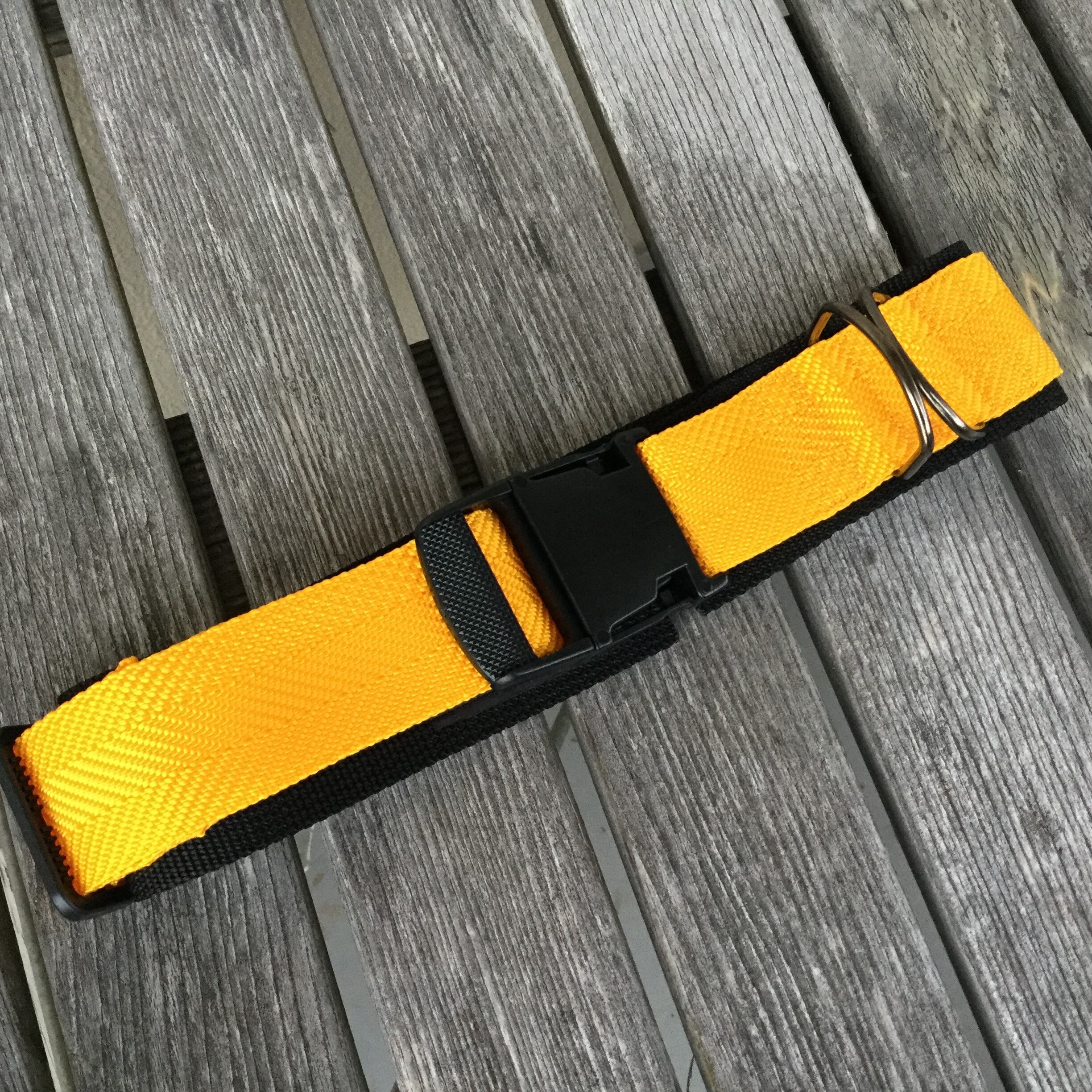 首輪 オレンジ 50mm幅