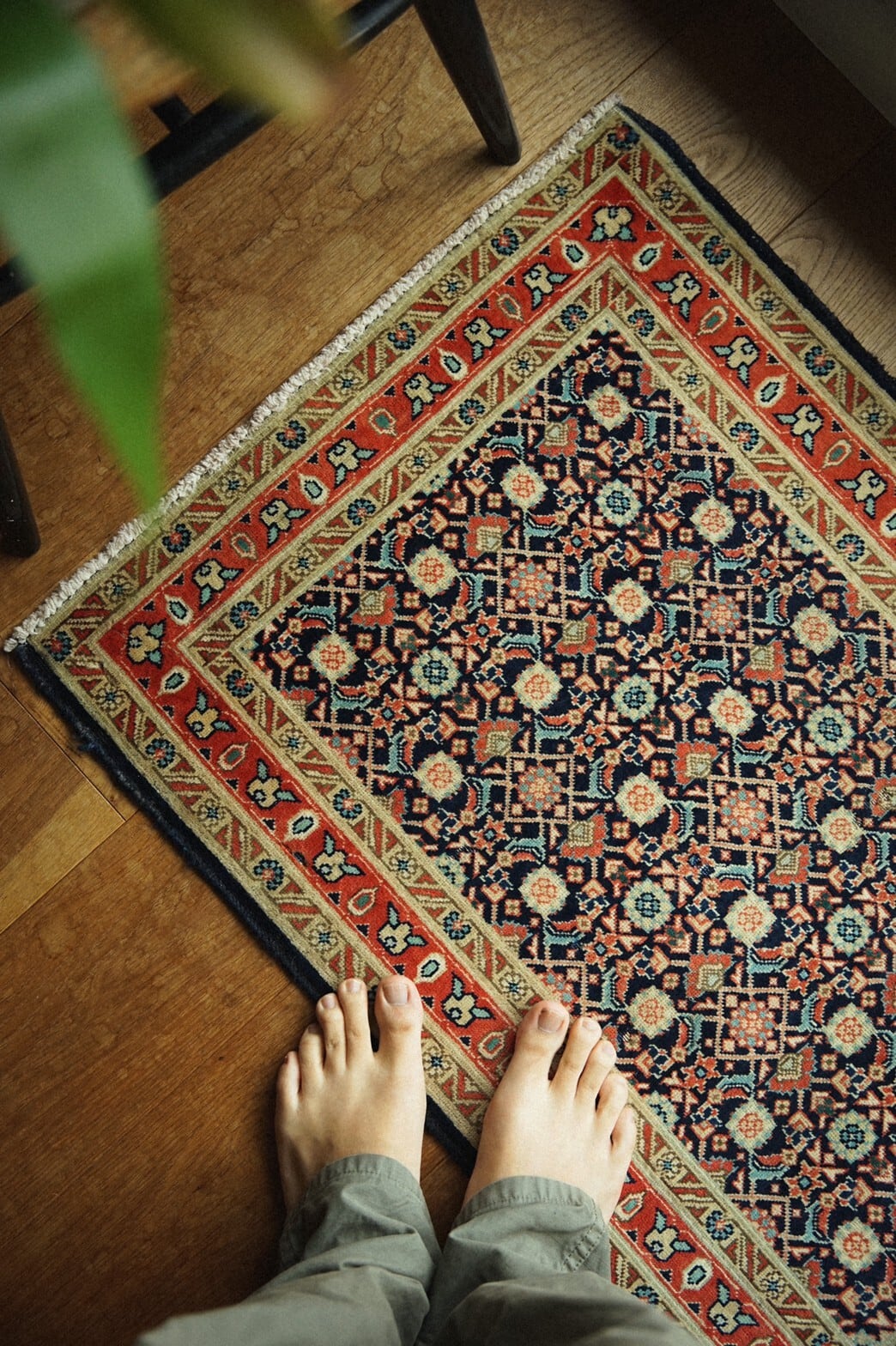 273 -Vintage naeen rug