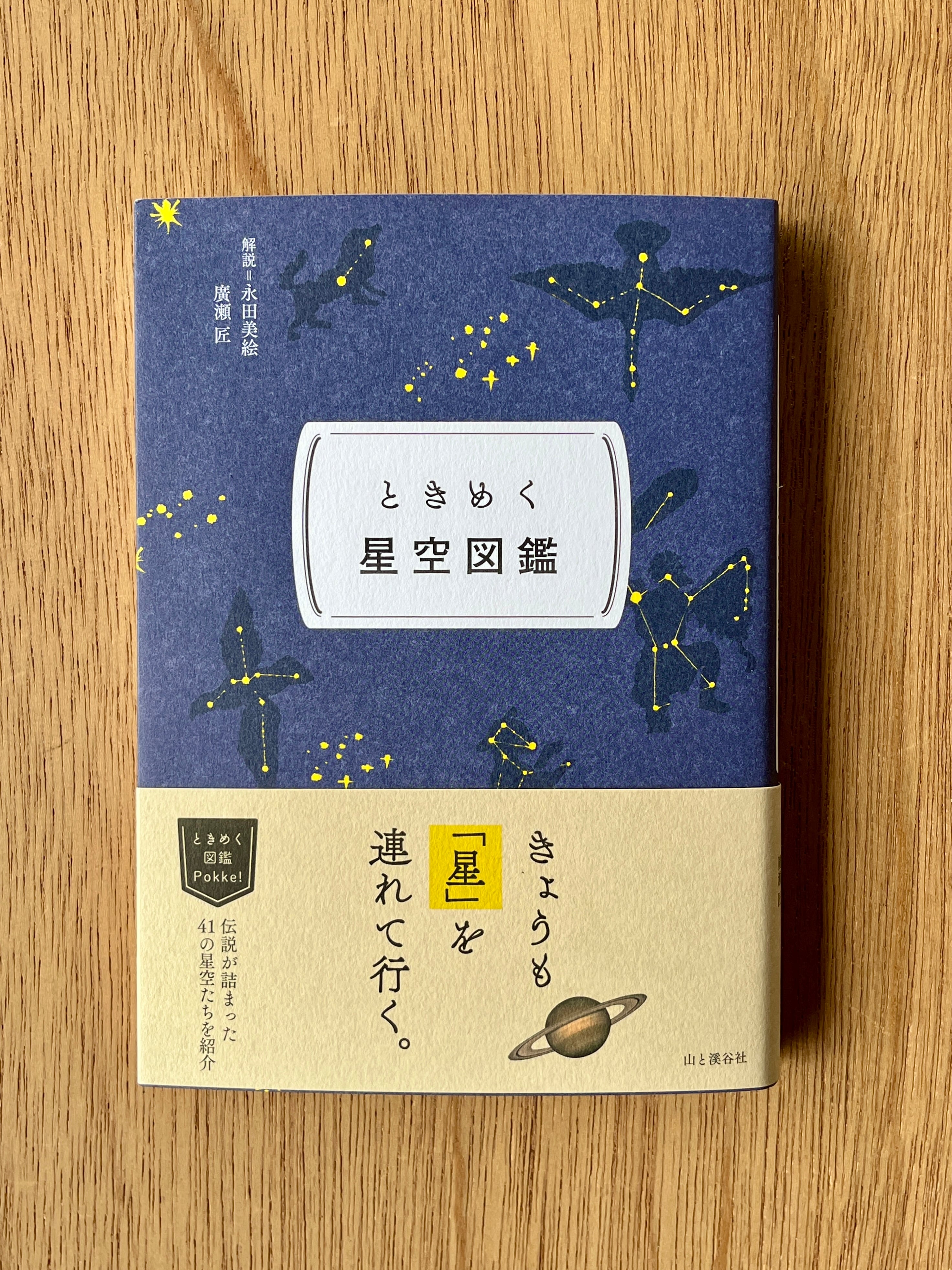 ゴシック叢書6 フランケンシュタイン | 本は人生のおやつです！！