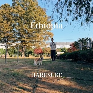 【NEW】エチオピア ハルスケ（浅煎り コーヒー豆）/ 100g