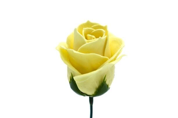 パステルバラT-Y1 ライトイエロー (15輪入りor25輪入り)