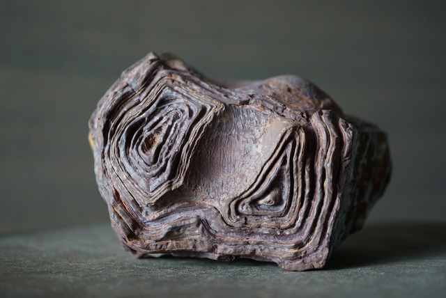 クムル産火山砕屑岩 Volcano-sedimentary Rock 1125