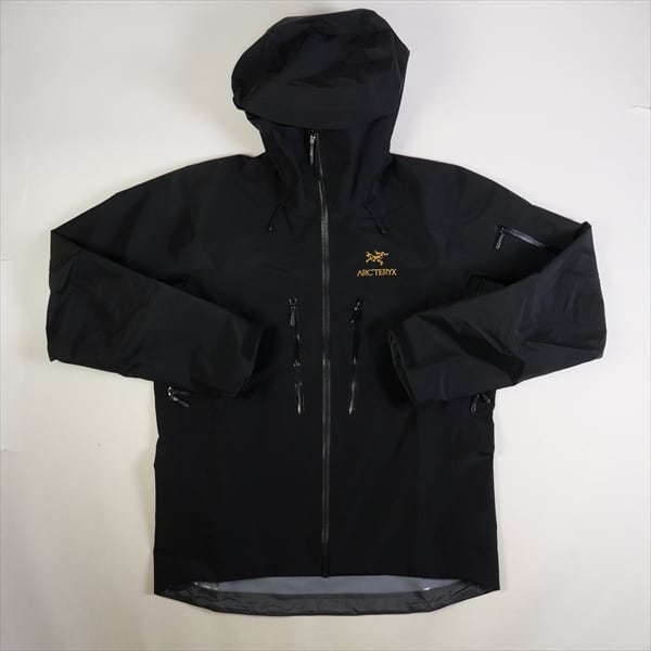 限界値下22AW ARC'TERYX  alpha sv 24K black L