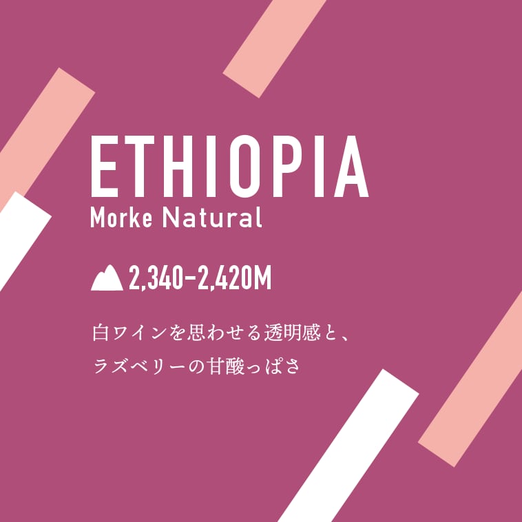 Ethiopia Morke Natural|Medium|200g