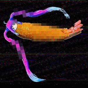 メスフライ Swettop ＆ PulloverParker