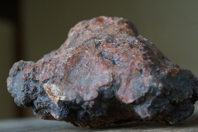 コプロライト ① Dinosaur Coprolites