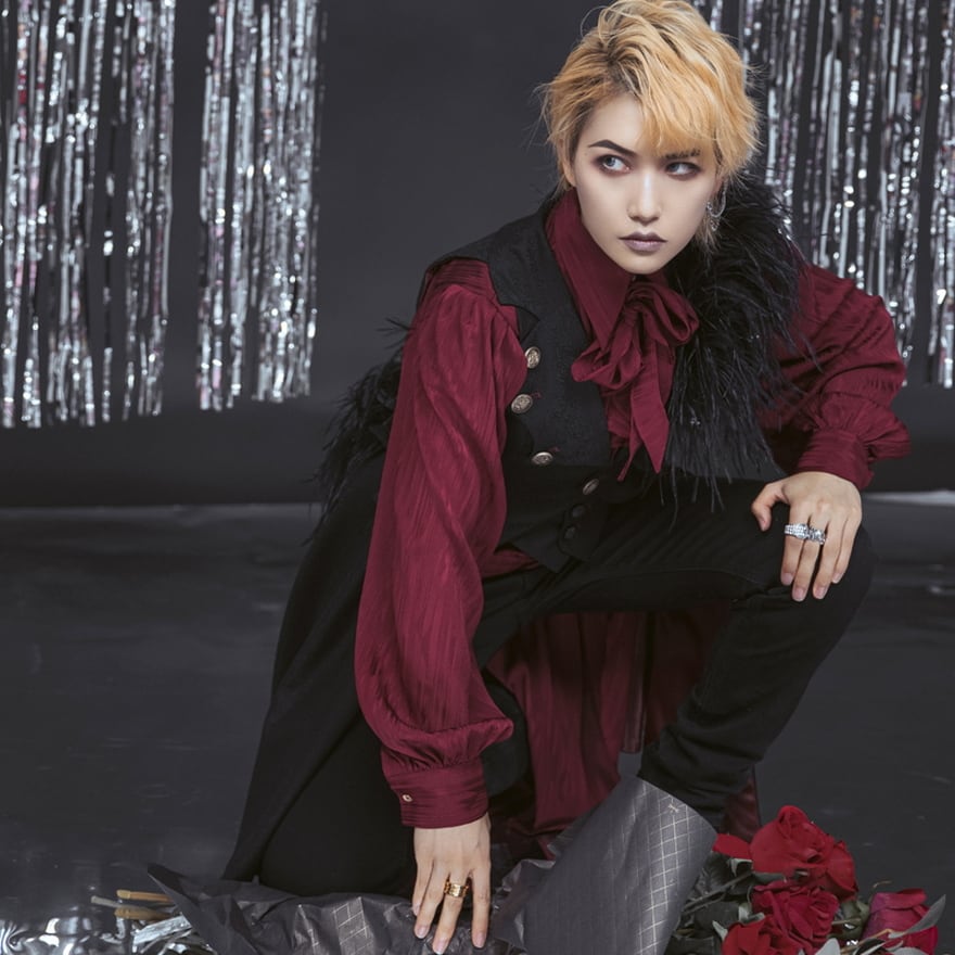 サブカル 服 地雷系 通販 王子 皇子系 コートロング丈 闇夜の騎士 プリンス 麗人 elegant ロリータ