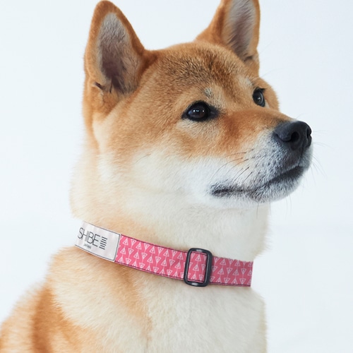 COLLAR CONPEITO【CHERRY】犬用首輪