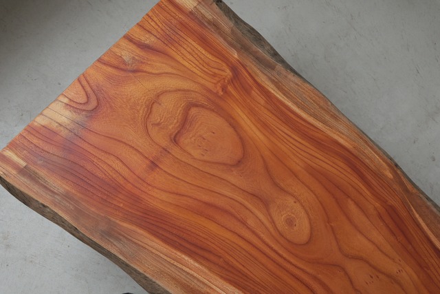 欅　Zelkova
