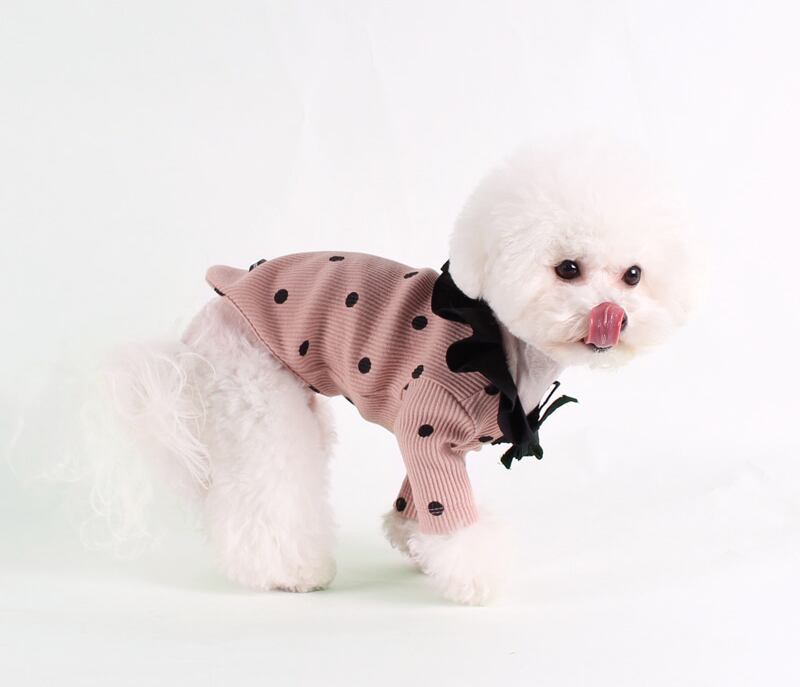 ドットフリルニット S ~ XL 2color / 犬服 ドッグウェア 小型犬 中型犬 犬の服 わんちゃん ペット