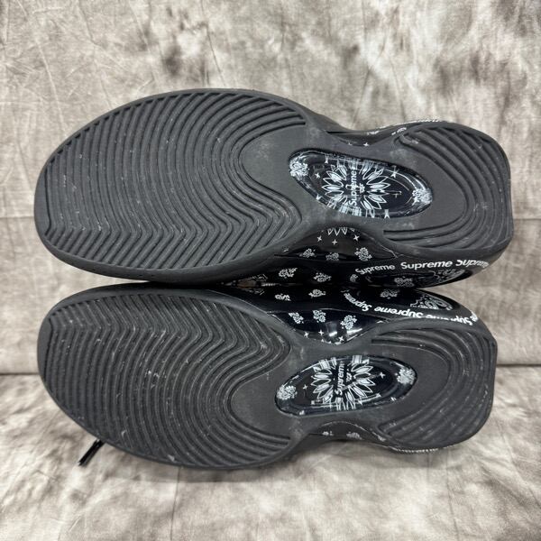 Supreme×NIKE/シュプリーム×ナイキ AIR ZOOM FLIGHT 95 SP/エア ズーム