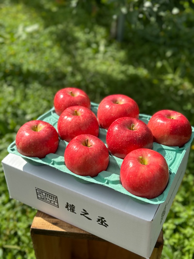葉取らず早生ふじ家庭用　3kg
