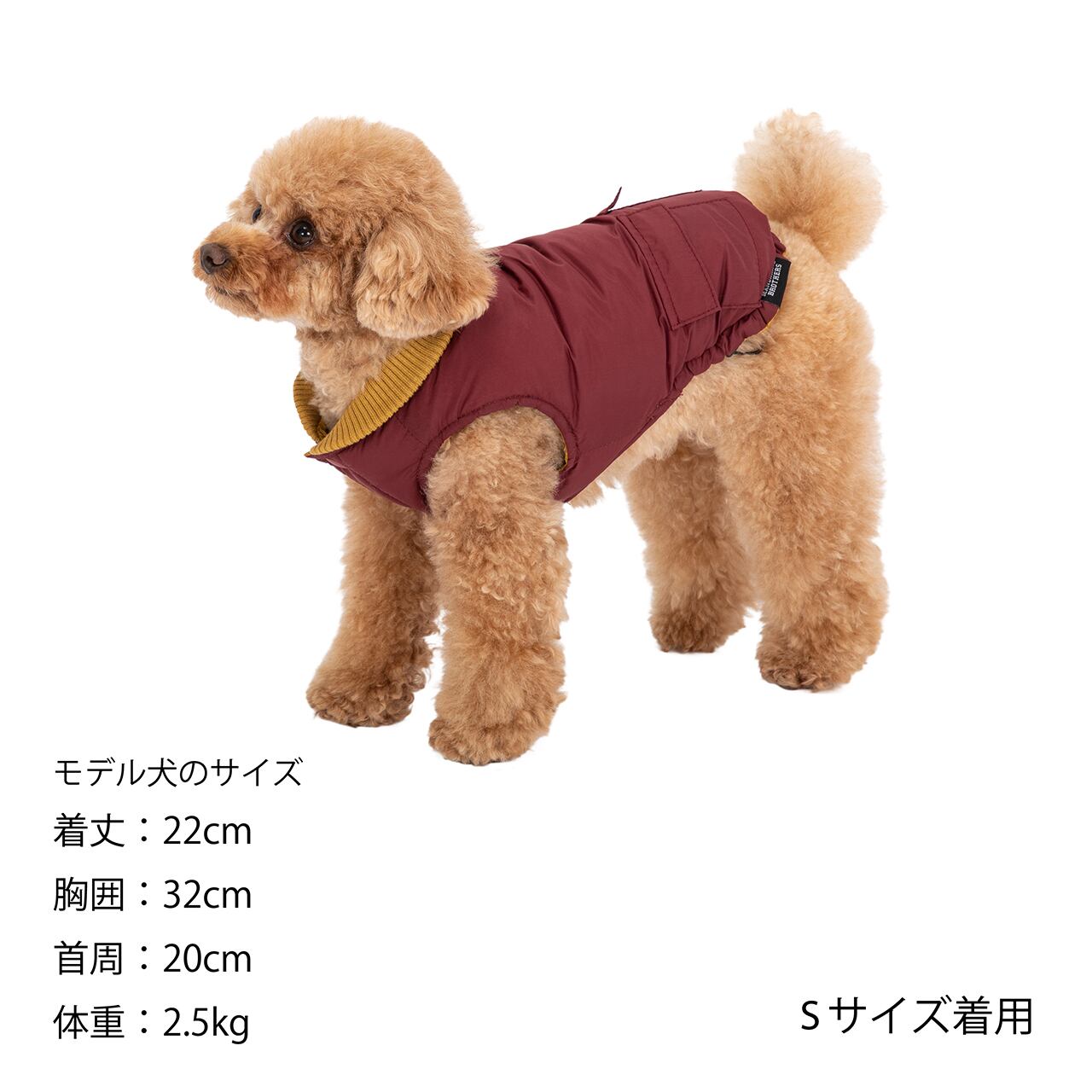 REVERSIBLE DOWN VEST（XS,S） リバーシブルダウンベスト | MANDARINE 