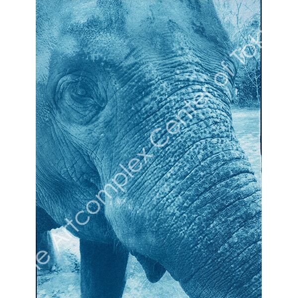 やましたみか「ぞうさん ぞうさん」