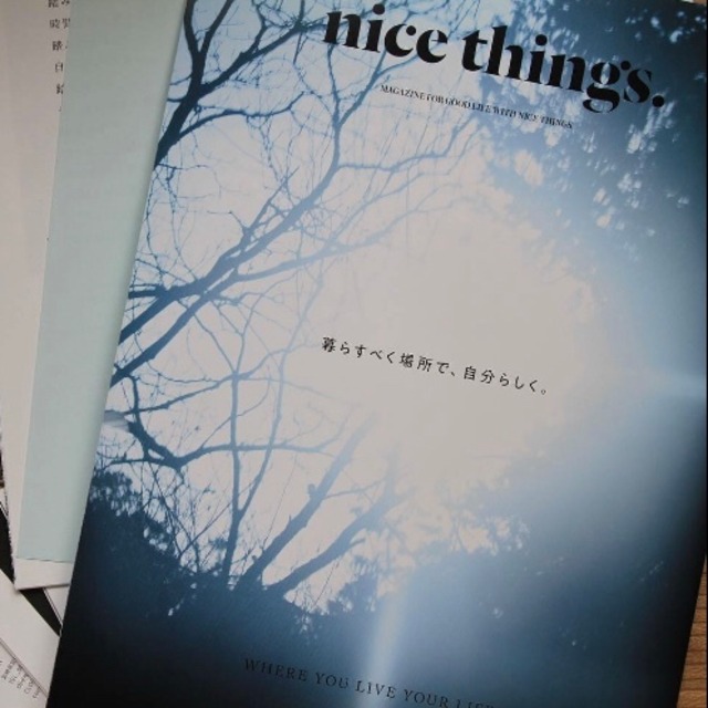 nice things. issue71