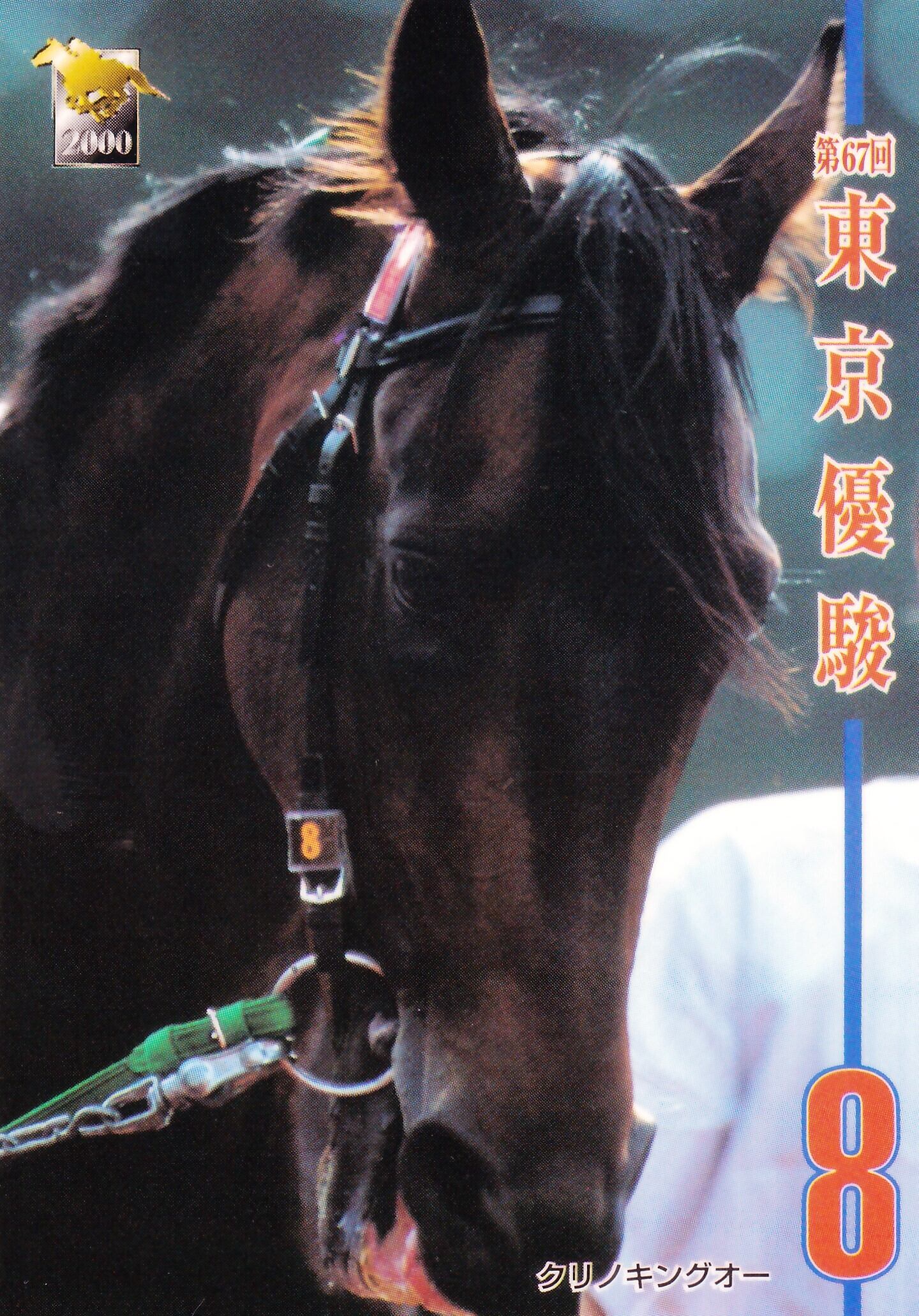 クリノキングオー：第67回 東京優駿(日本ダービー)出走馬