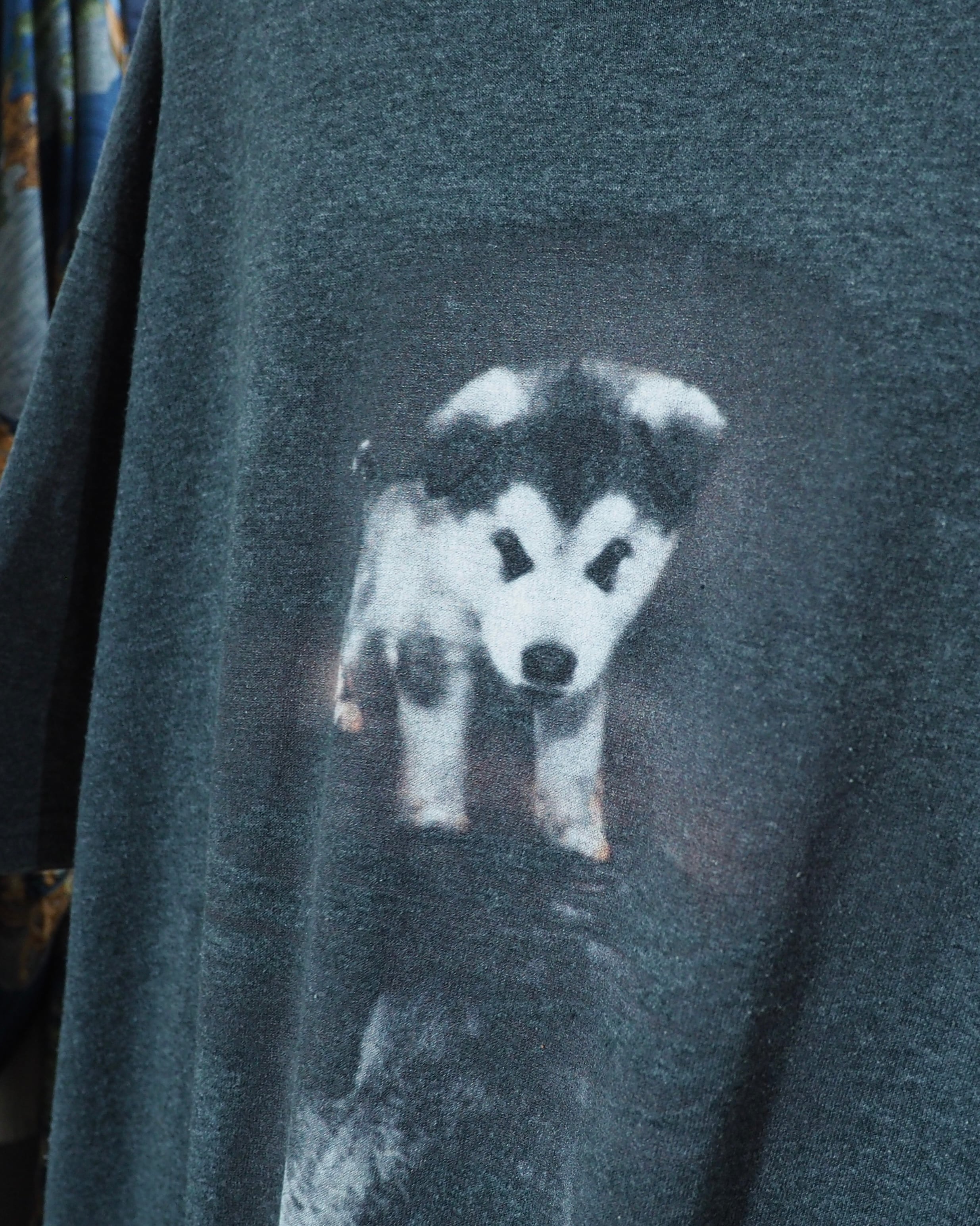 " 深淵 " Siberian husky Graphic printed SS Tee