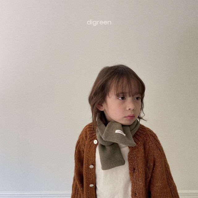 【即納】 digreen cream scarf dig_a_2