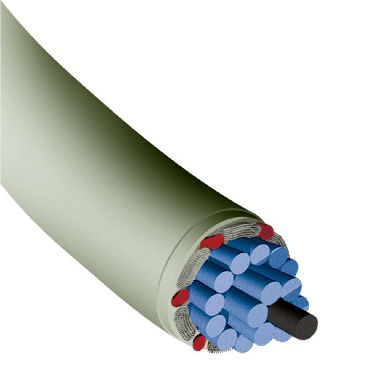 バイオロジック・ライブワイヤー 130　BOX【7823010】/トアルソン TOALSON