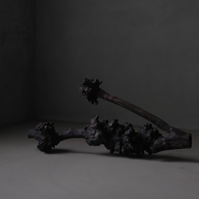 Burl object