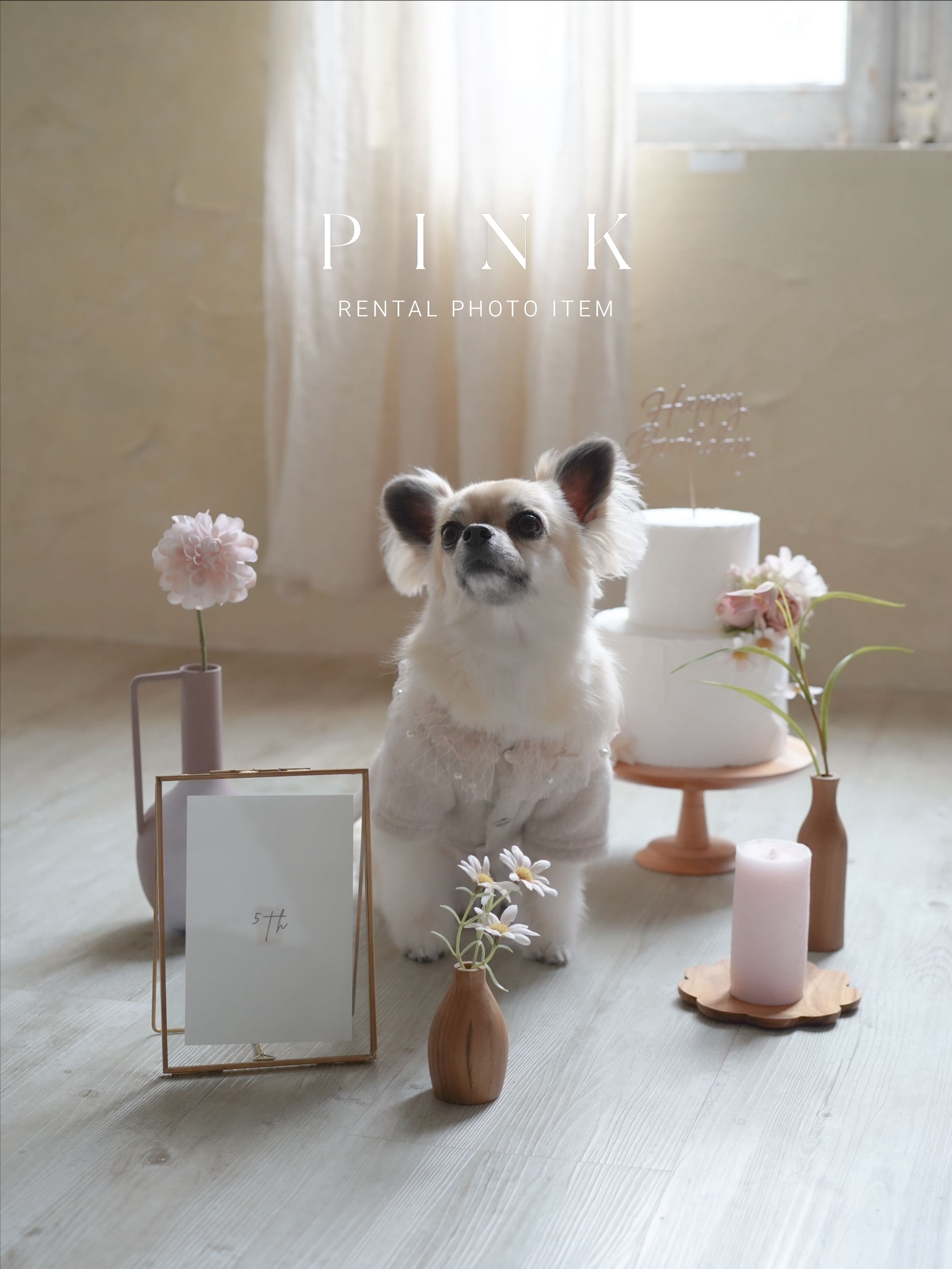 〈フォトアイテム/レンタル〉PINK