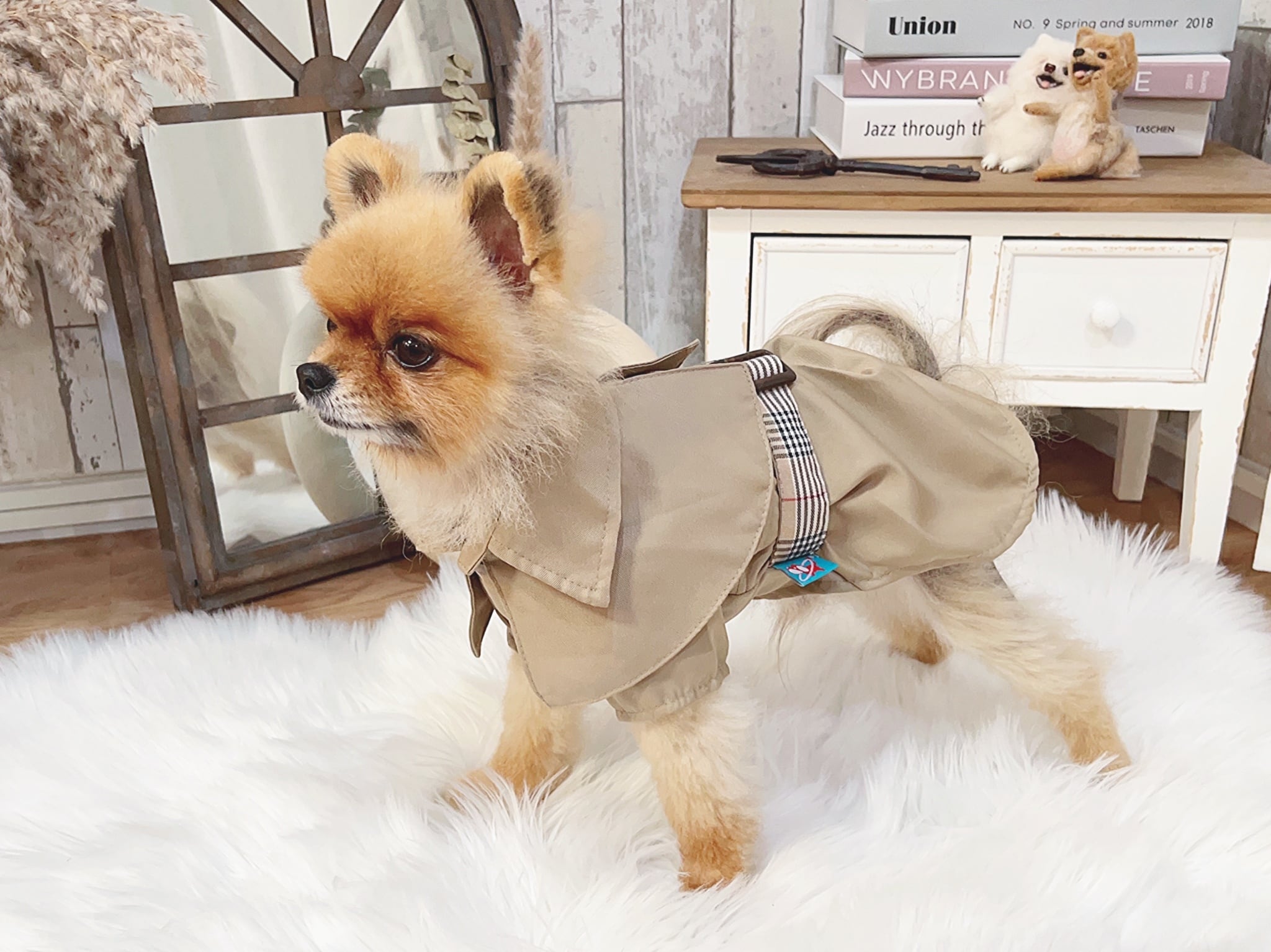 犬服 アトリエGG コート Atelier G・G「アトリエジジのホームページ」