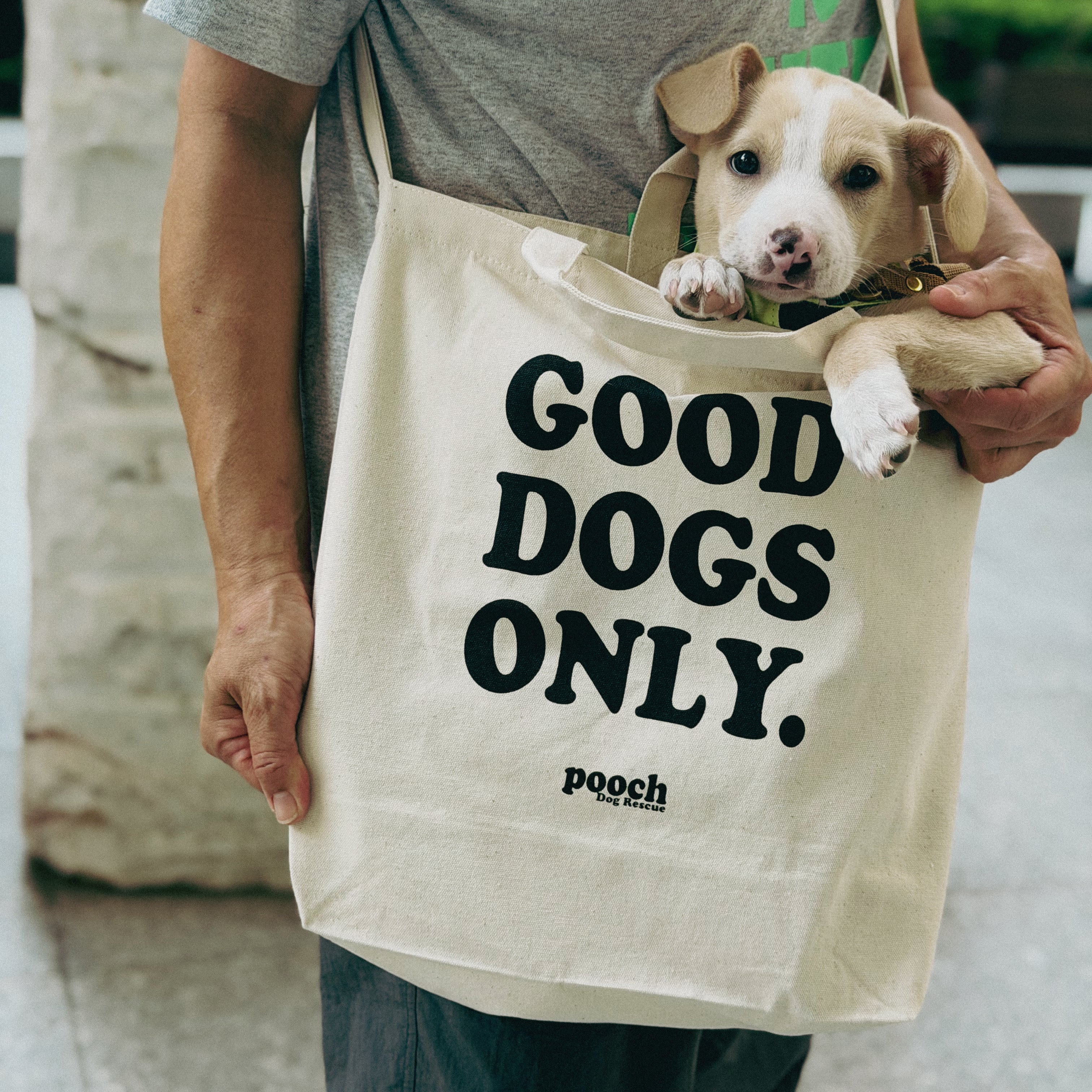 Pooch