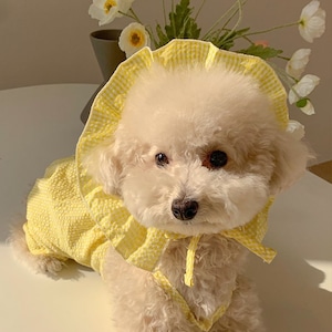 ドッグ 犬 ドッグウェア 室内着 帽子 ベーシック フリル かわいい きれいめ シンプル カジュアル 上品 おしゃれ レトロ モダン 主役級 存在感 ラブリー キュート 都会的 ベーシック シンプル チェック 春 夏 女の子 スクール デート お出かけ パーティー イベント 公園 休日 バカンス レストラン 記念日 お花見 カフェ 朝 散歩 室内 ロリータ 普段使い トレンド 流行 インスタ映え 定番 XS S M L XL 2XL 紫 黄色 イエロー ピンク