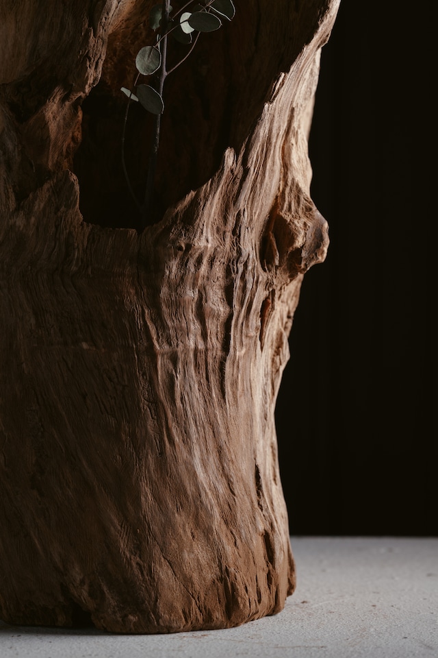 楠-kusunoki- Standing Form