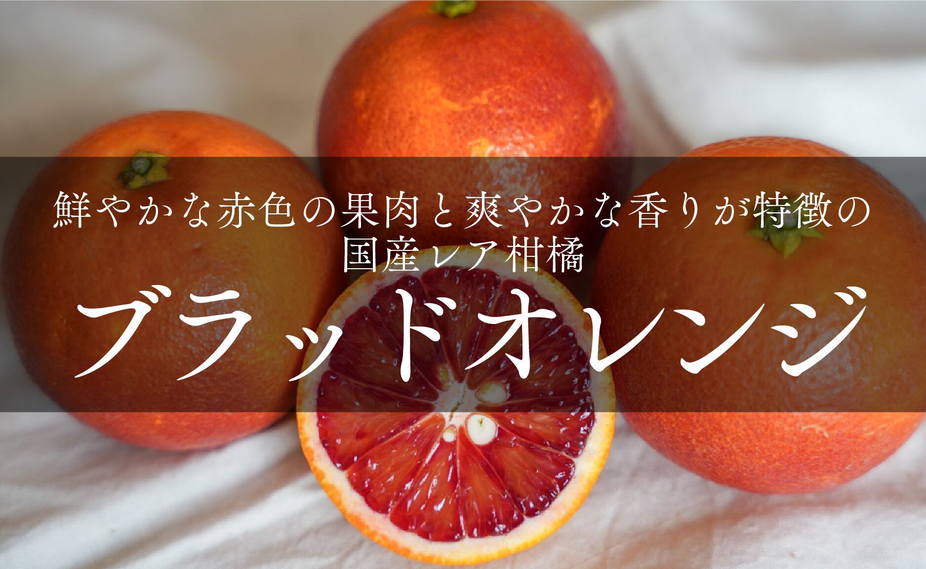 ed37cb686755c6d59240d9be272983