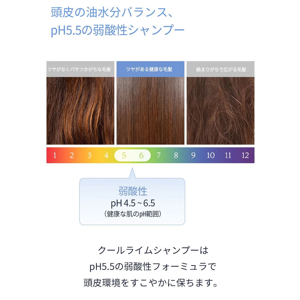 ODID COOL LIME SHAMPOO GREEN TEA MINT/クールライムシャンプー