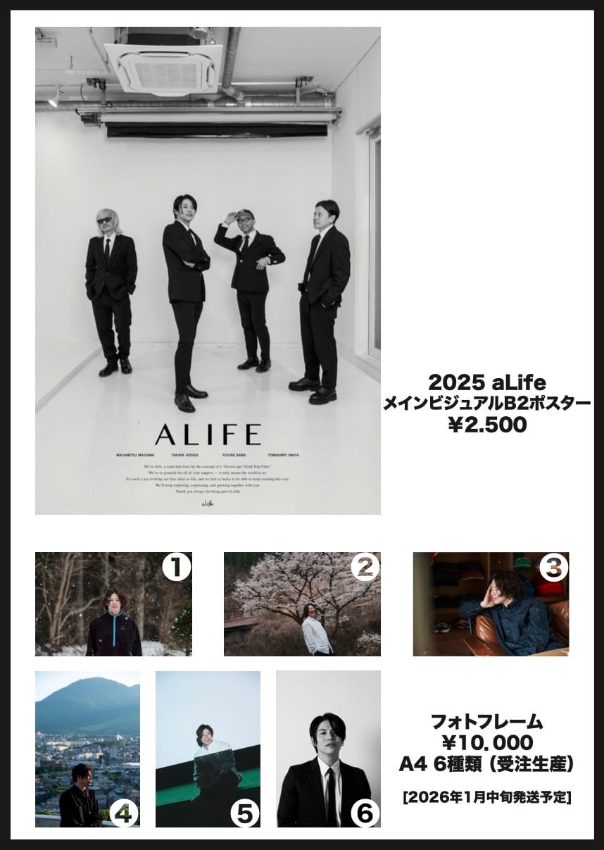 aLife B2ポスター