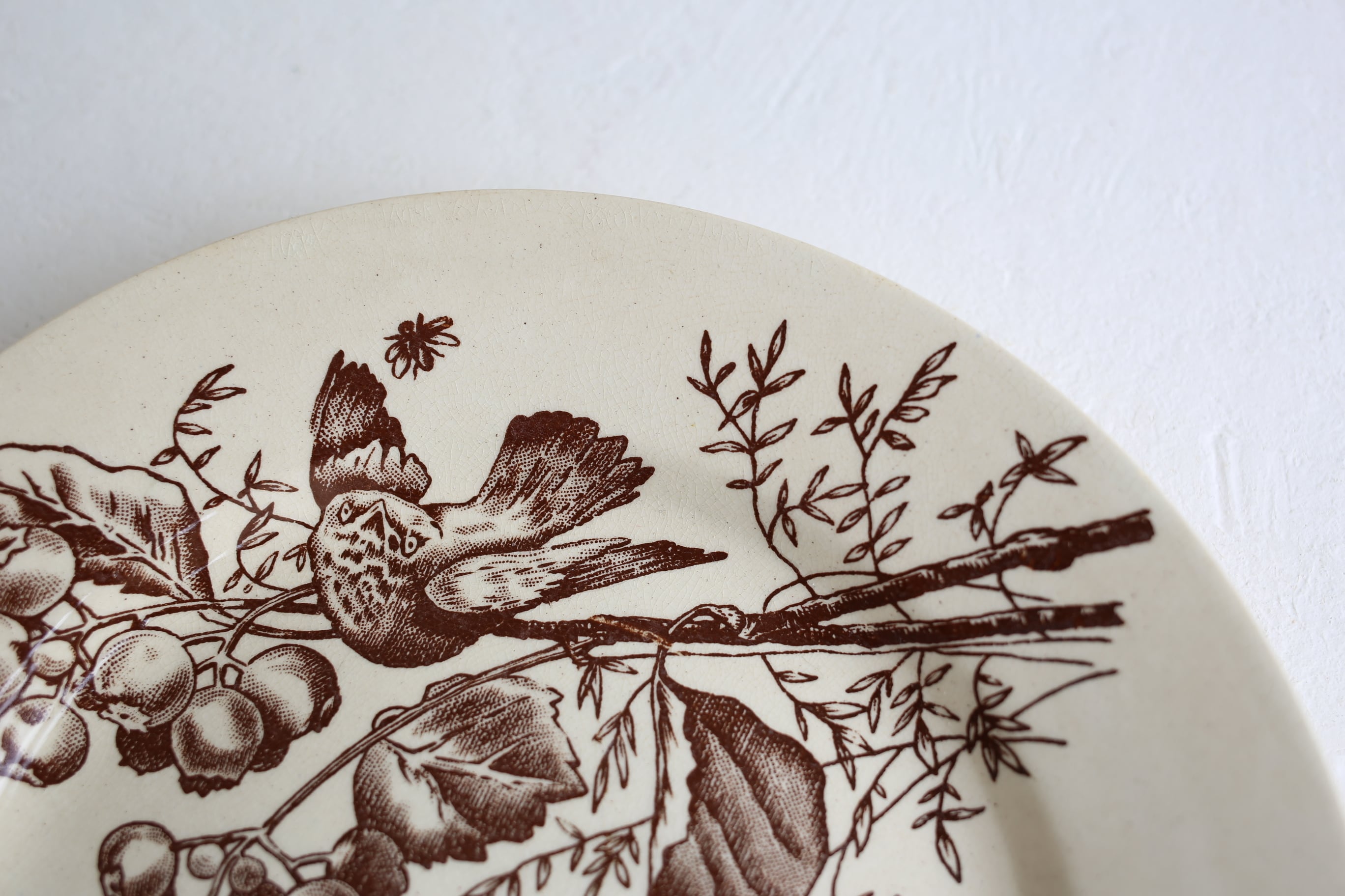 フランス アンティーク Choisy le Roi ショワジールロワ『鳥と木の実と