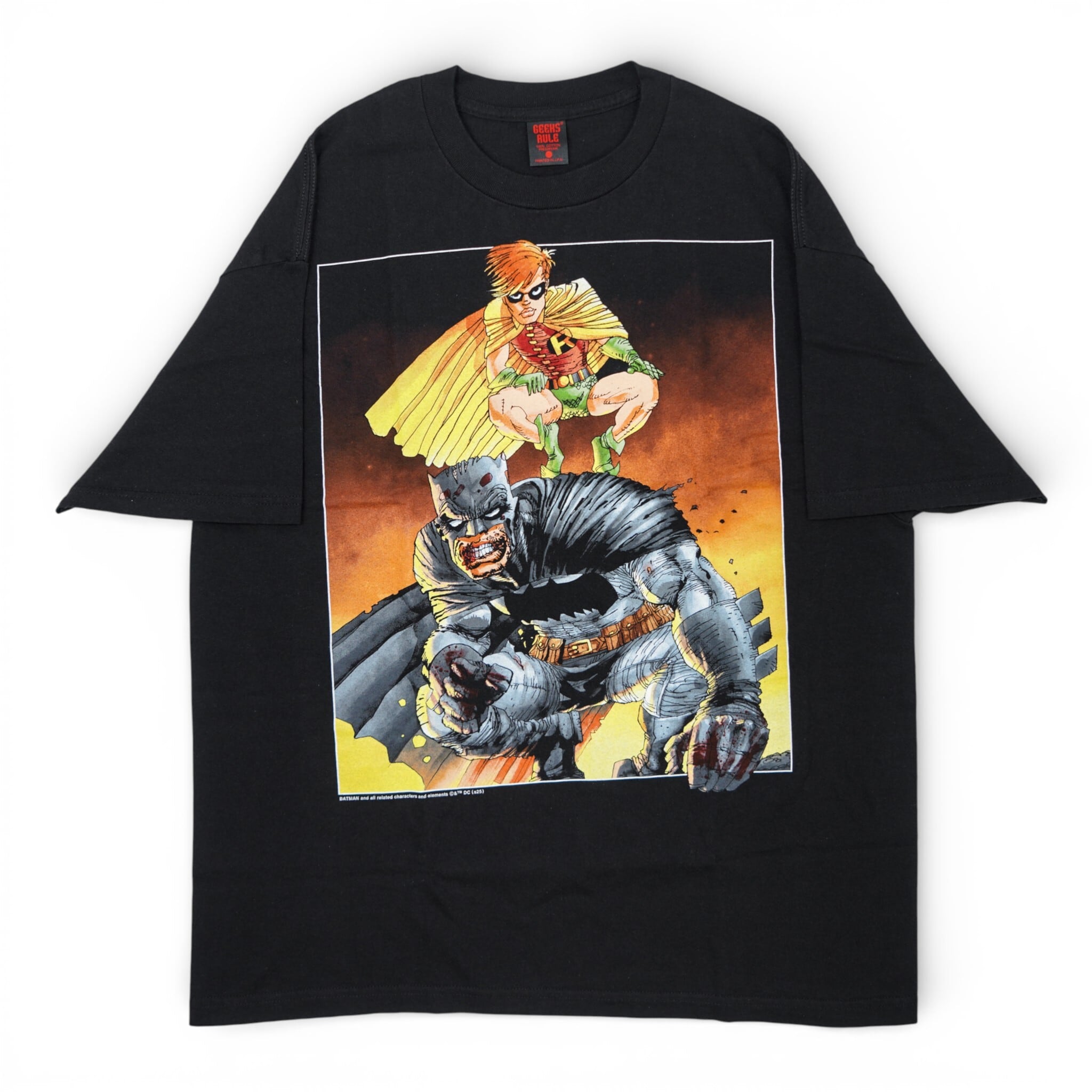 GEEKS RULE ギークスルール BATMAN バットマン ロビン Tシャツ