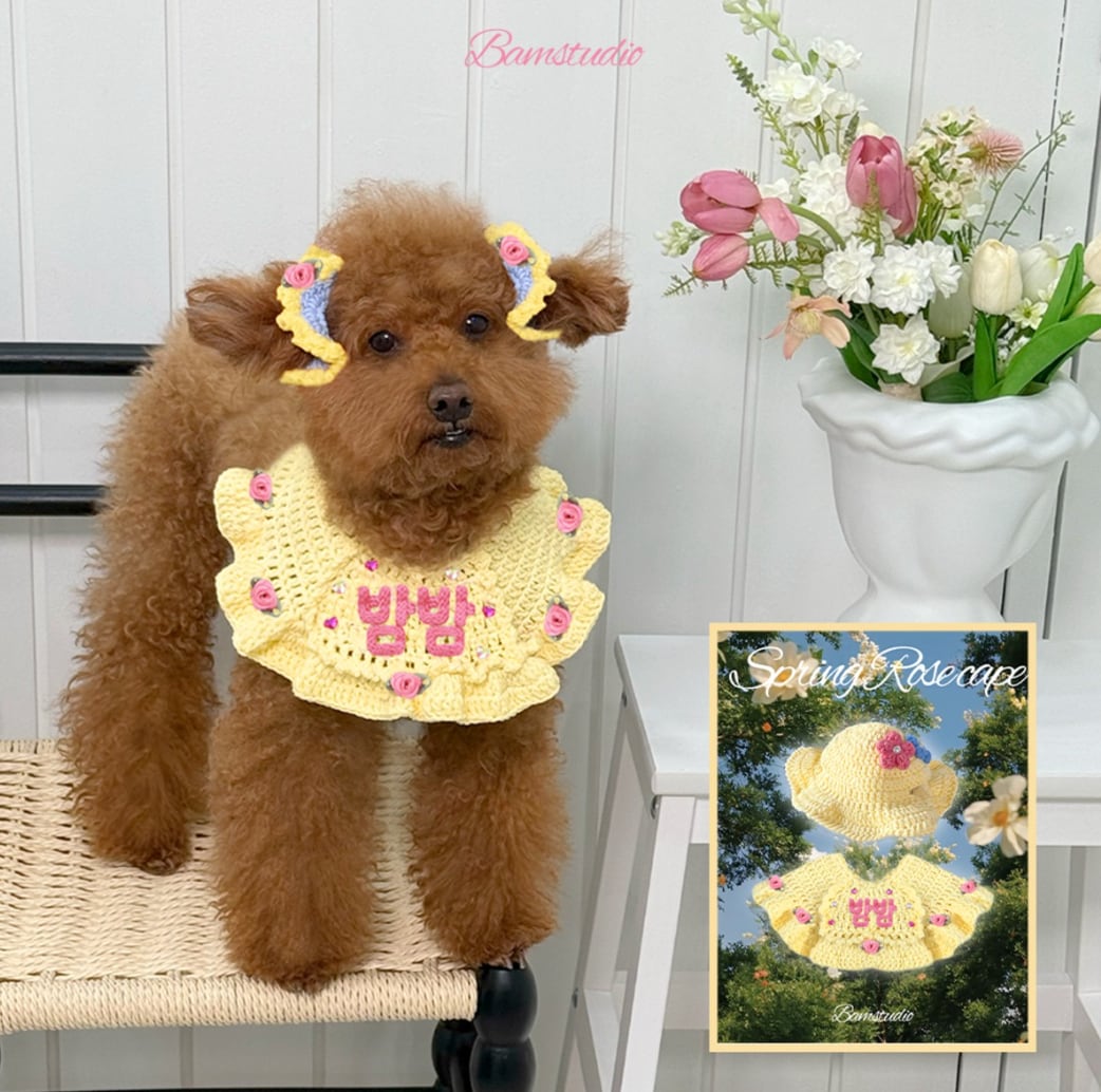 予約【Bam’studio】Spring Rose Cape (4color)