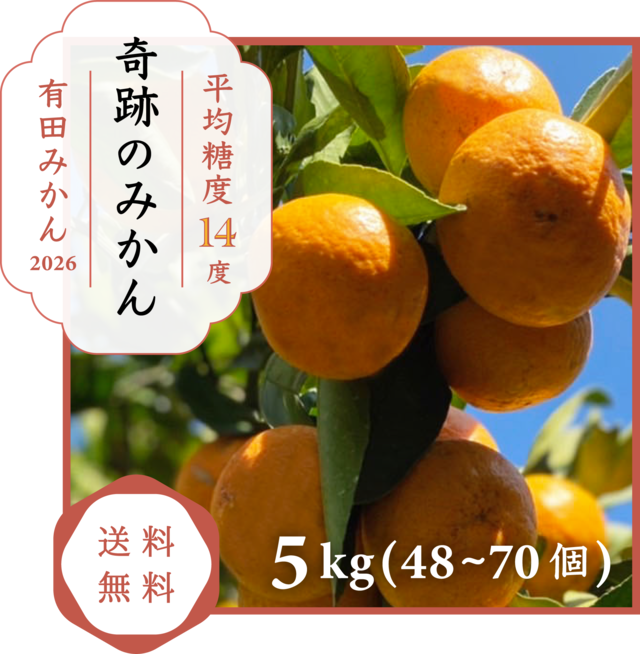 岡山県産「奇跡の葡萄」マスカットジパング（800g前後）