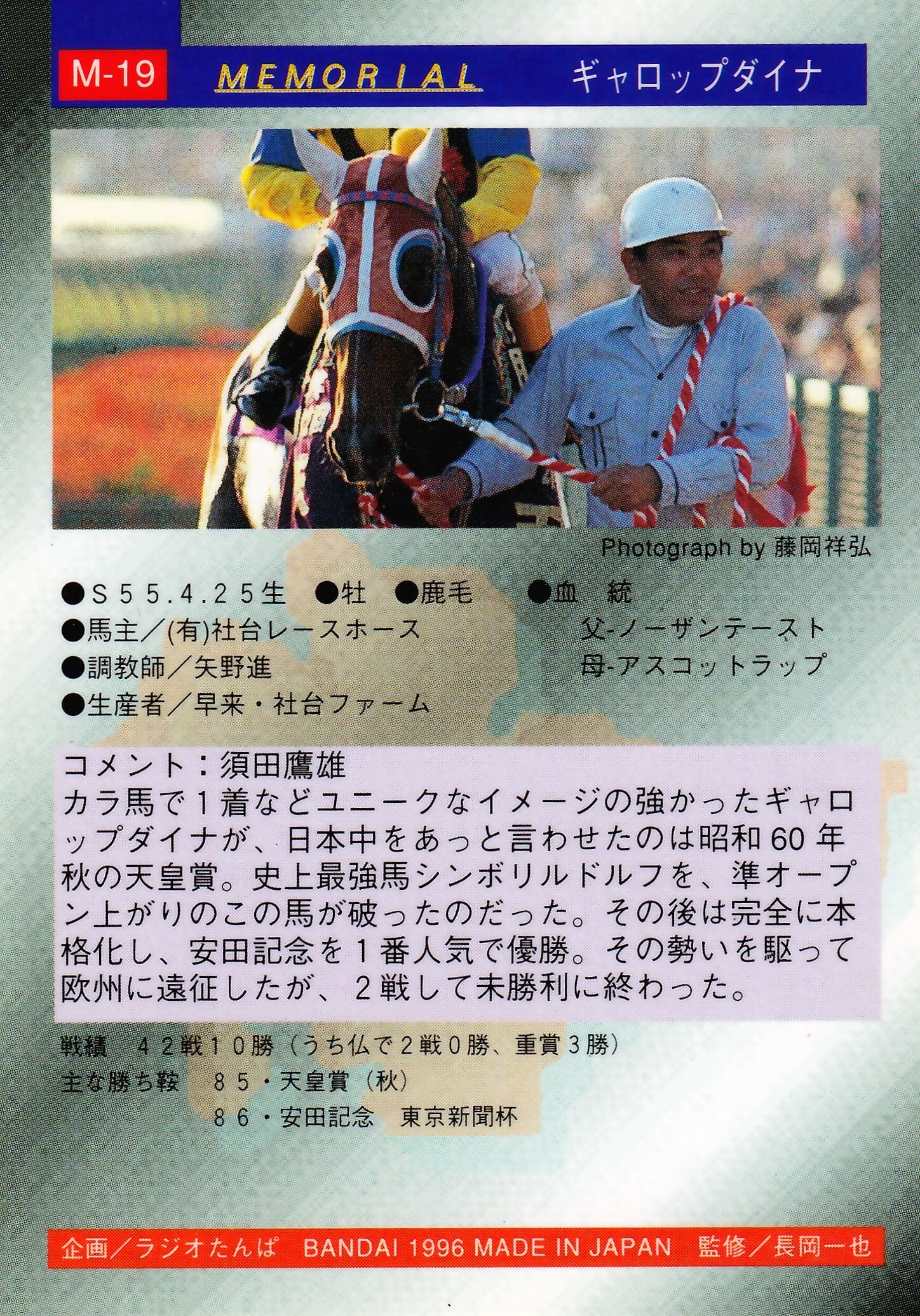 修正版)ギャロップダイナ「サラブレッドカード 96年上半期版」M-19