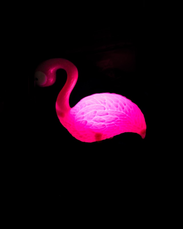 Polystyrene flamingo lamp