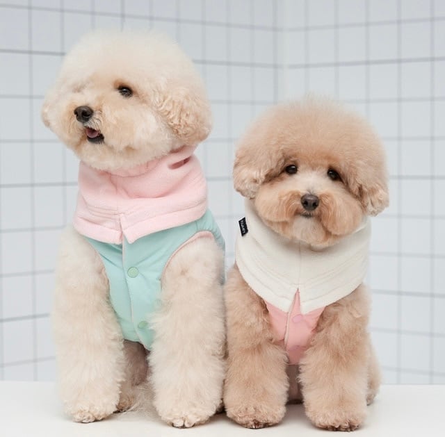 愛犬だけの特別な組み合わせリバーシブルアウター (4color)